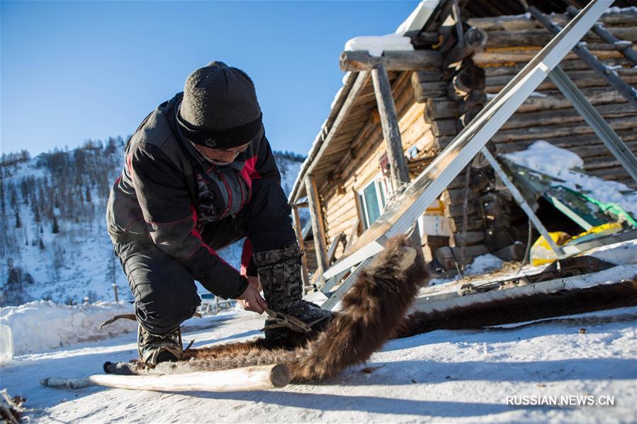 Новая жизнь древних лыж из шкур в округе Алтай