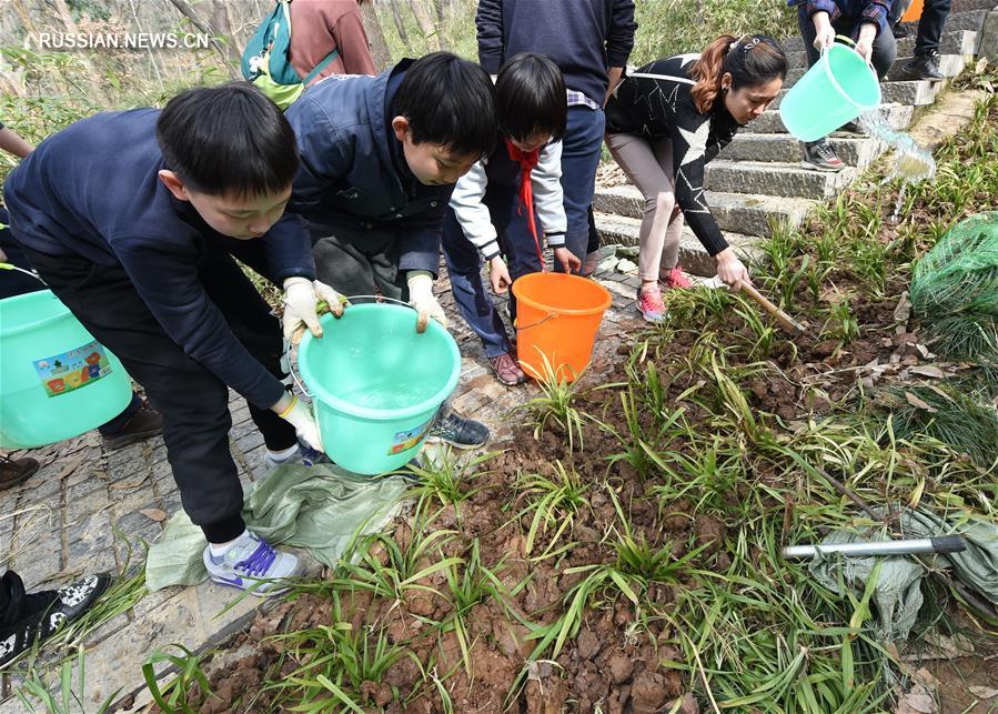 Жители Нанкина восстановили зеленые насаждения вдоль лестницы на гору Цзыцзиньшань