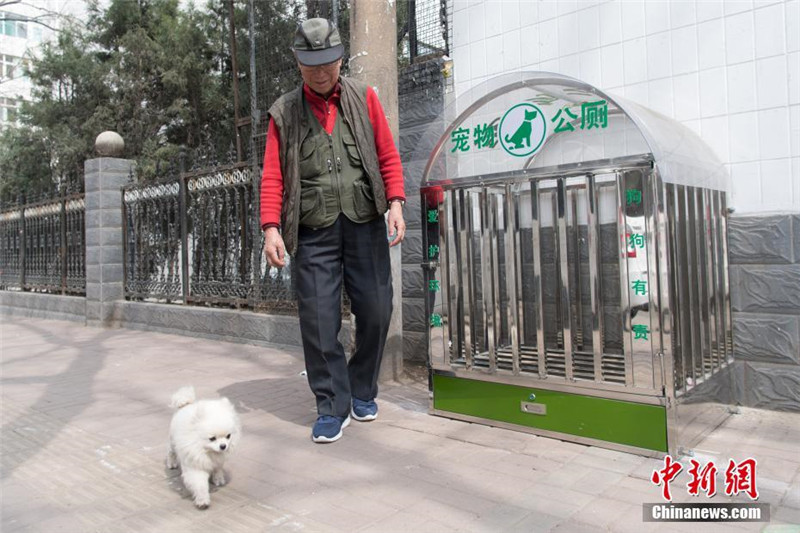 На улицах  китайского города Тайюань появились общественные туалеты для собак