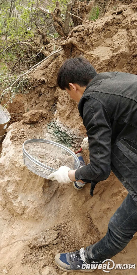 В провинции Шэньси нашли яму с древними монетами возрастом 2000 лет