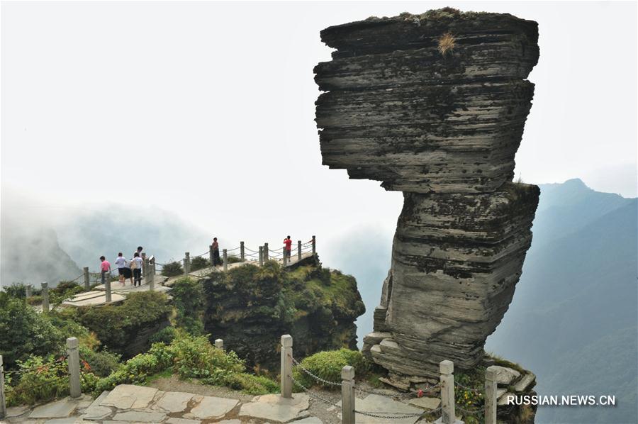 Китайский заповедник Фаньцзиншань был включен в список Всемирного наследия ЮНЕСКО