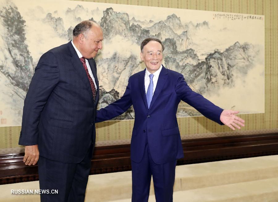 Ван Цишань встретился с генеральным секретарем ЛАГ и главой МИД Египта