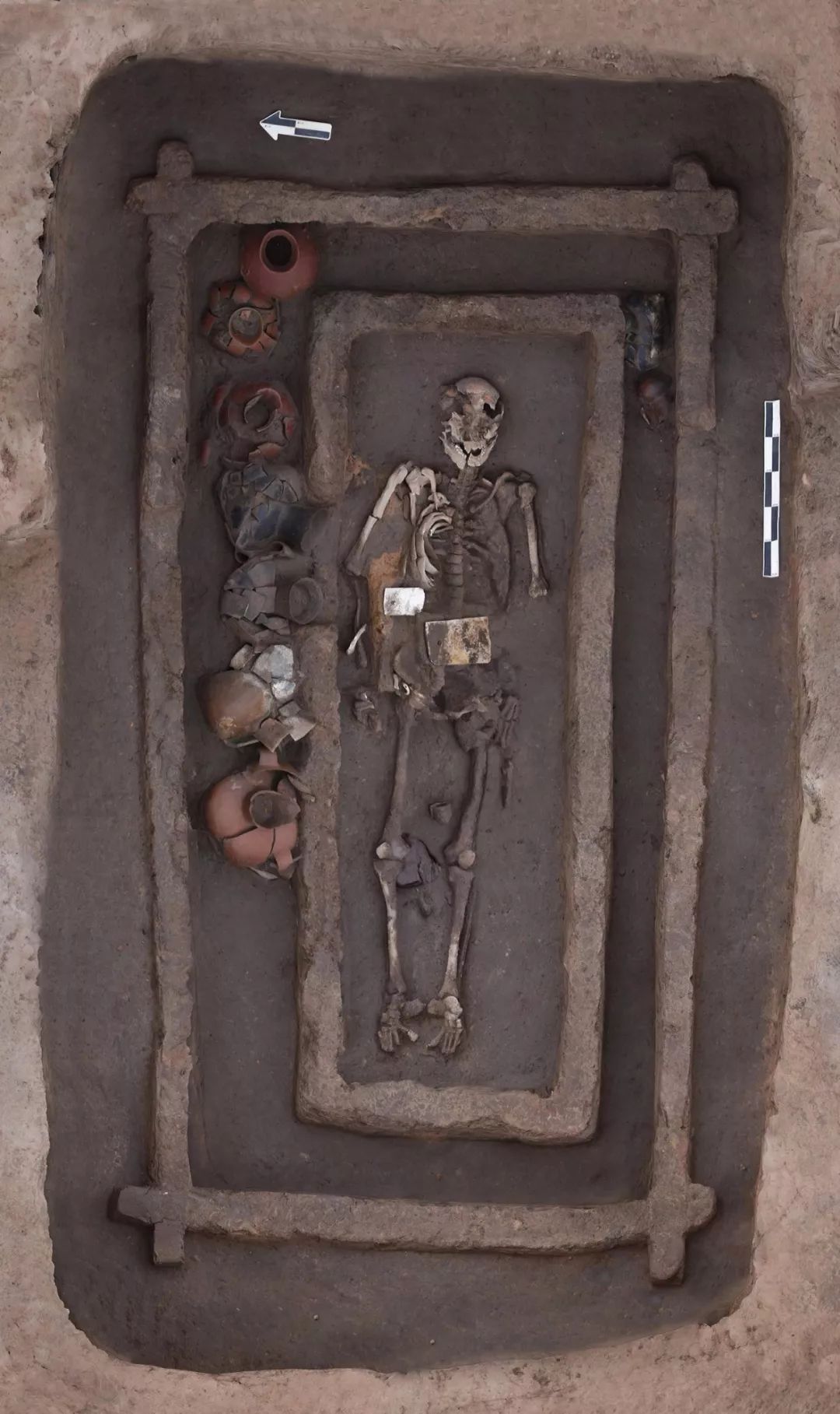 Останки древнего человека ростом 190 см выставлены в Национальном музее Китая