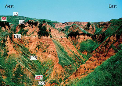 На китайском лёссовом плато обнаружены орудия труда возрастом 2,12 миллиона лет