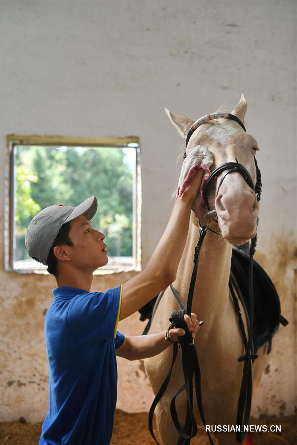 Мечты подрастающего поколения мастеров конного спорта на востоке Китая становятся реальностью