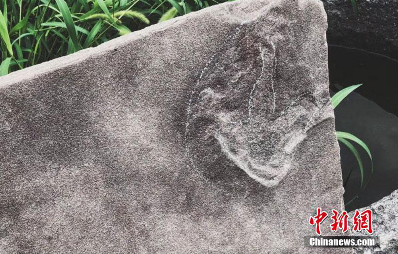 В ландшафтном парке в китайском городе Чэндэ обнаружено более 250 следов динозавров