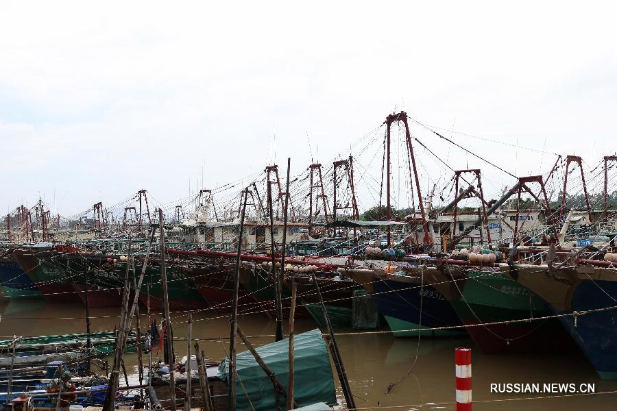 Провинция Гуандун прилагает все силы для защиты от тайфуна "Бебинка", отложено открытие рыболовного сезона