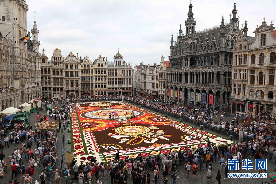 Брюссельский фестиваль "Ковер из цветов" 