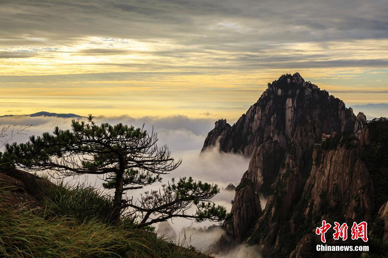 Облака и туманы в горах Хуаншань