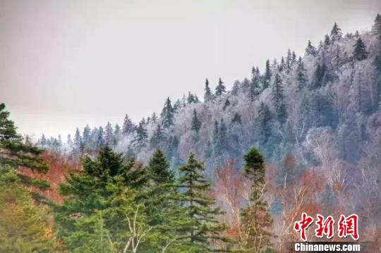 Гора Фэнхуаншань в провинции Хэйлунцзян