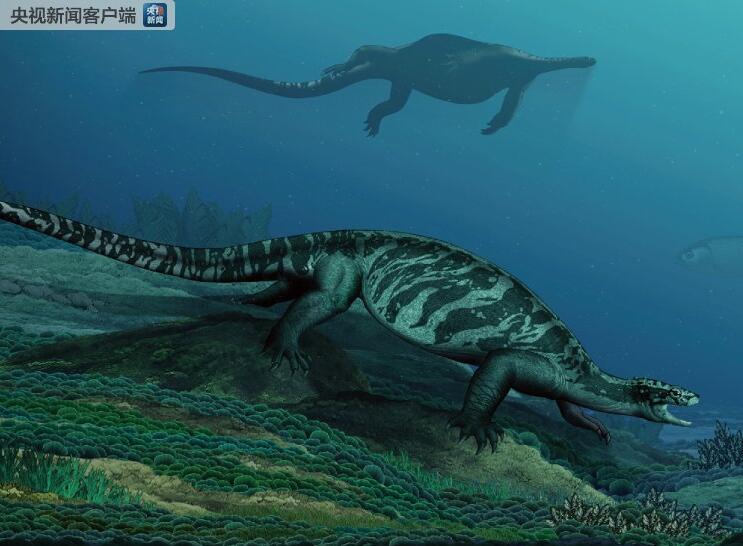 В Китае впервые представлены окаменелости черепахи, жившей 228 миллионов лет назад