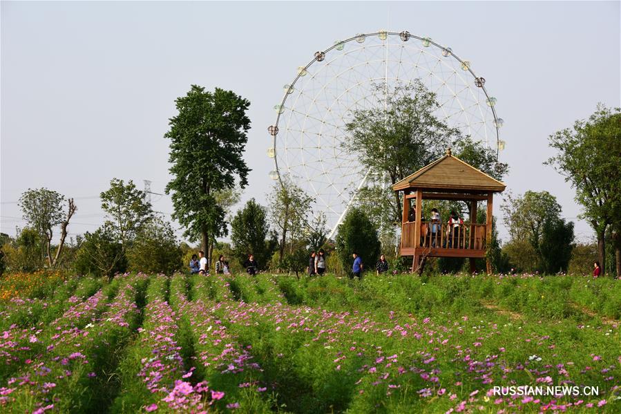 Развитие растениеводства в уезде Яньлин провинции Хэнань