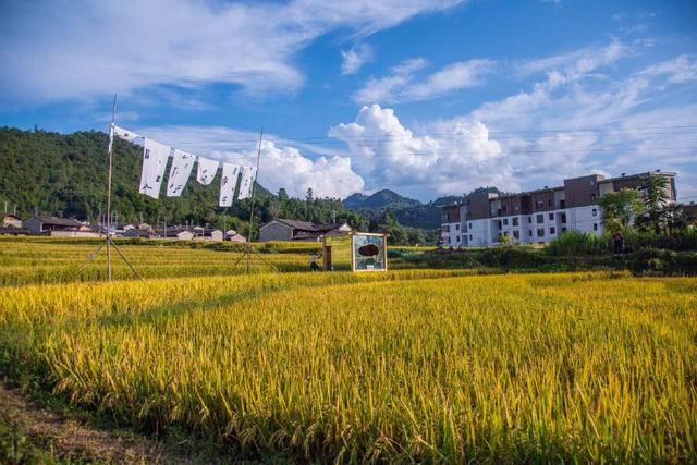 На рисовых полях провинции Юньнань прошел Фестиваль искусств Маюйгу