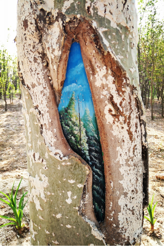 Волшебный мир внутри деревьев