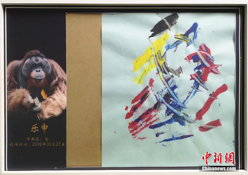Калимантанский орангутан в китайском парке увлекся рисованием