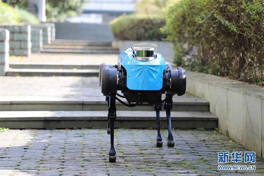 Китай создал нового четвероногого робота, способного бегать и подниматься по лестнице