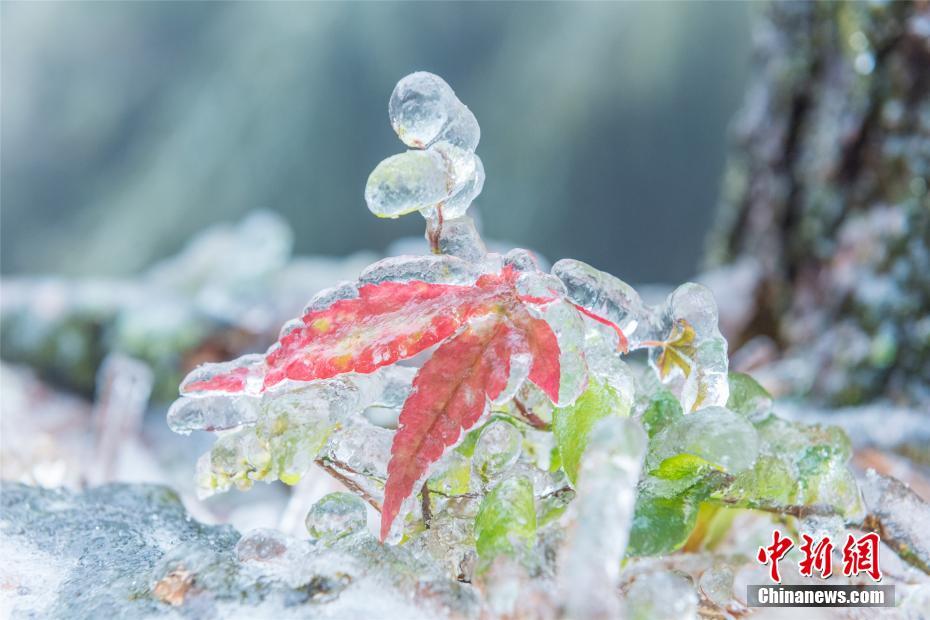 Ледяная красота гор Лушань 