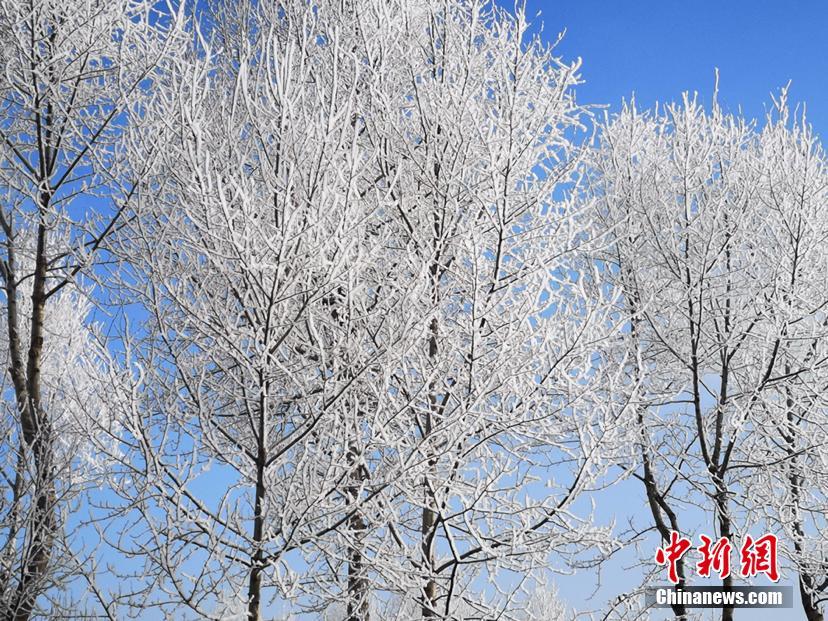 Красивый зимний пейзаж в провинции Цинхай 