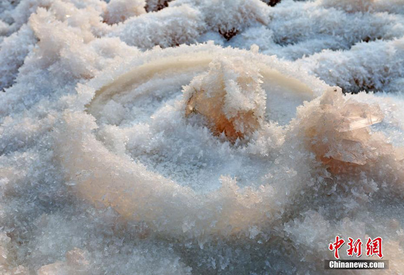 Соленое озеро на Севере Китая покрылось кристаллическими цветами
