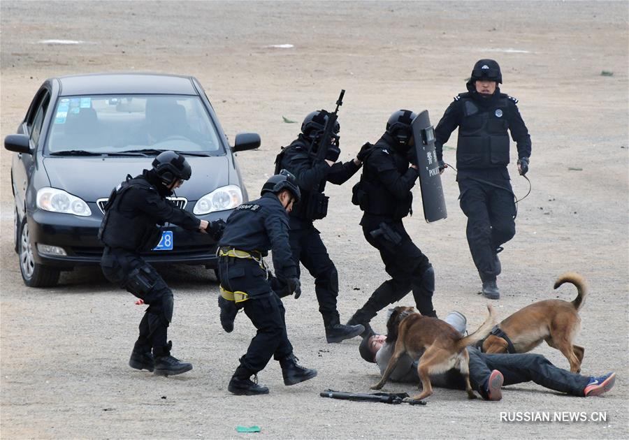 Тренировки сотрудников полицейского спецназа Китая в провинции Шаньдун
