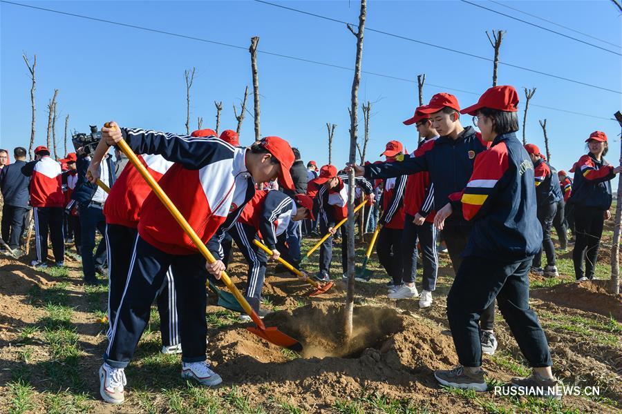 В Китае отмечается День посадки деревьев