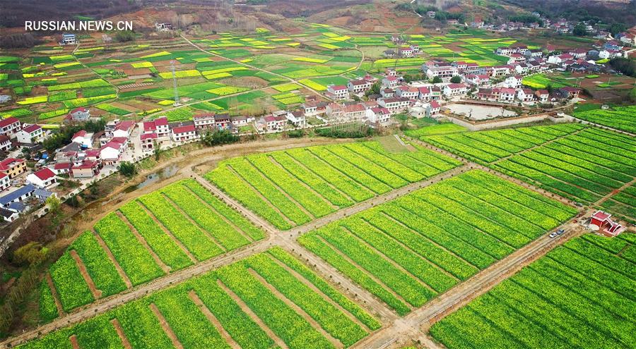 Пейзаж весенних полей в провинции Шэньси на северо-западе Китая