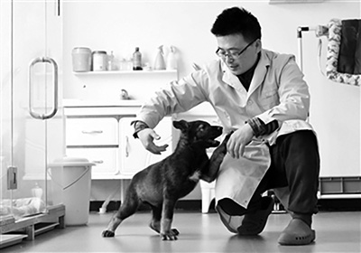 В Китае появилась первая клонированная служебная собака