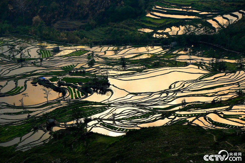 Сказочные террасовые поля в провинции Юньнань