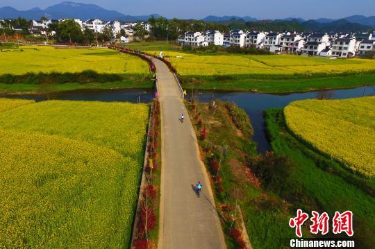 В уезде Уюань провинции Цзянси прошли велогонки