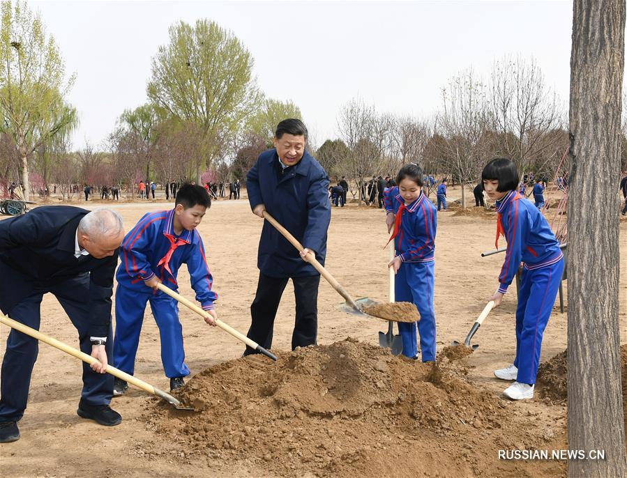 Си Цзиньпин призвал общественность к широкому участию в кампании по озеленению страны