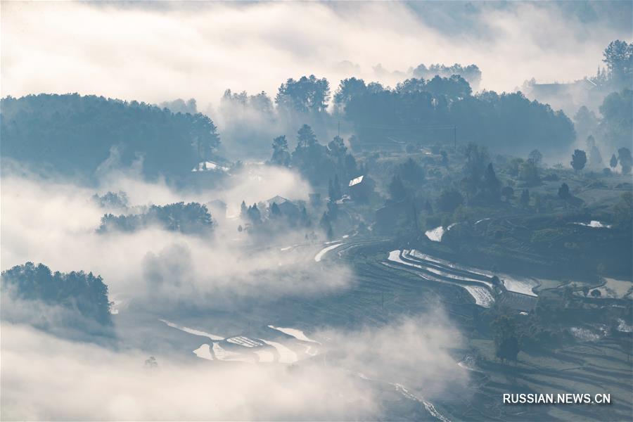 Горная деревня на юго-западе Китая, погрузившаяся в утренний туман, напоминает картину в стиле "гохуа"