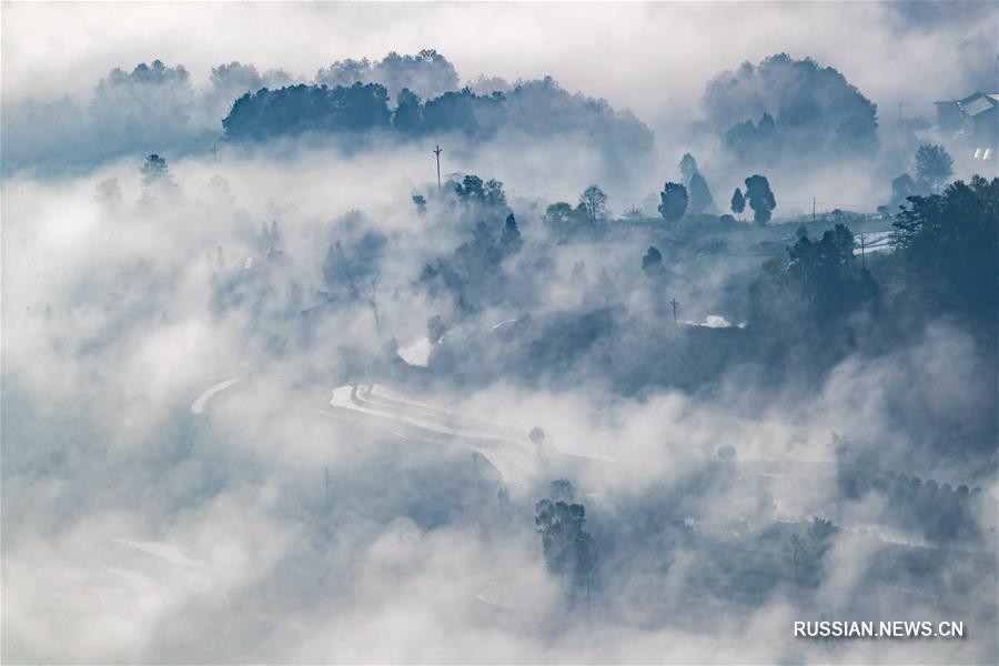 Горная деревня на юго-западе Китая, погрузившаяся в утренний туман, напоминает картину в стиле "гохуа"