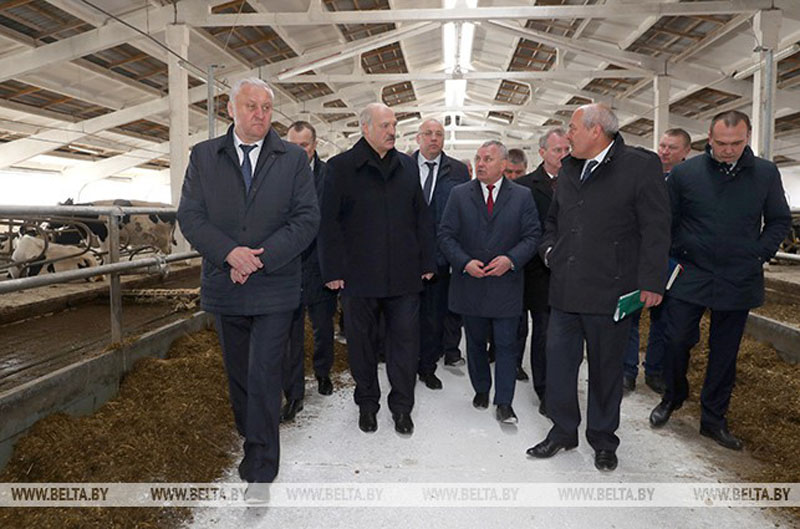 Лукашенко потребовал повысить дисциплину в сельском хозяйстве и больше рассчитывать на собственные силы