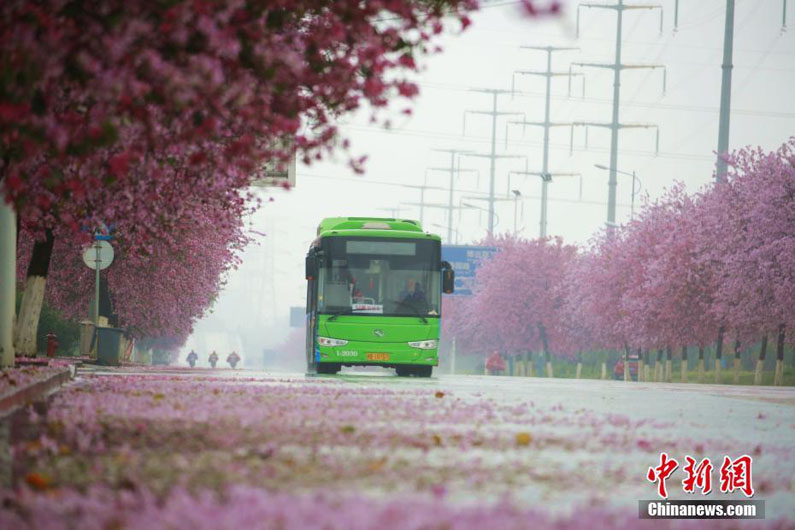 Весенний пейзаж в горах Саньциншань