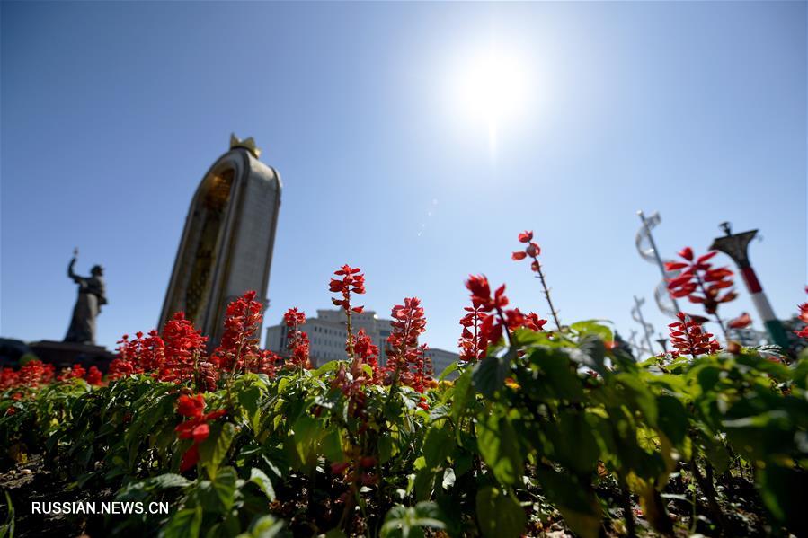 Душанбе украсили цветами в преддверии саммита СВМДА 