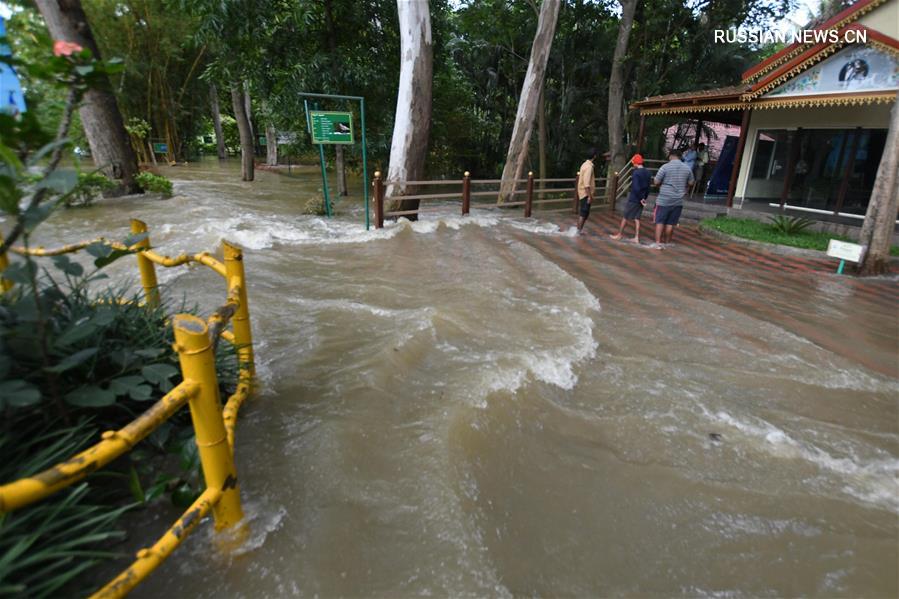 Число погибших от проливных дождей в Индии возросло до 132 человек