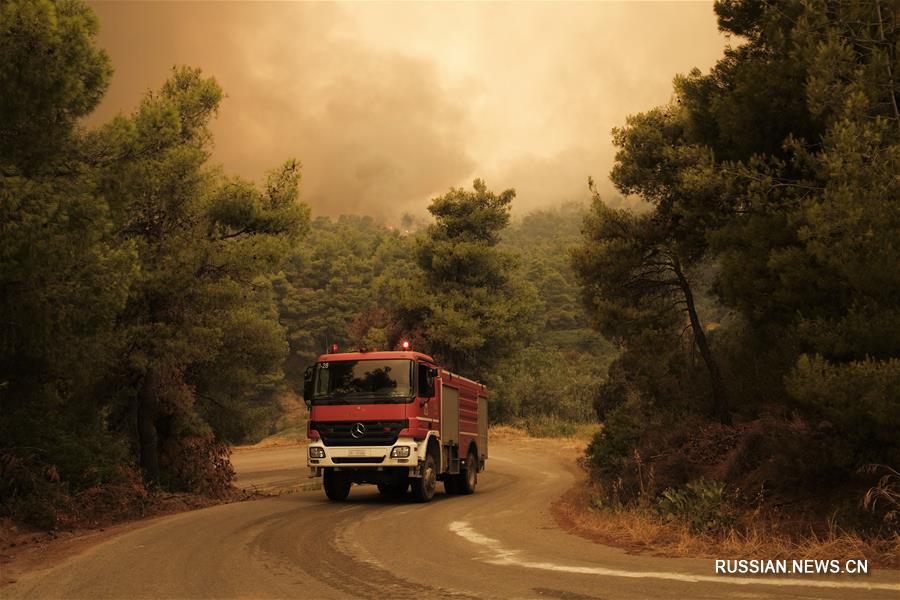 В Греции бушует сильный лесной пожар