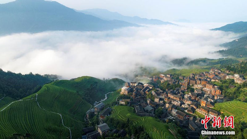 Террасированные поля в Юго-Западном Китае окутаны пеленой облаков