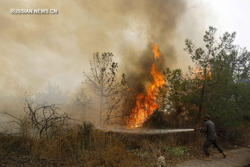 15 октября премьер-министр Ливана Саад Харири заявил, что для борьбы с вспыхнувшими накануне масштабными лесными пожарами в горных районах страны Ливан обратился с просьбой о помощи к Италии, Иордании и странам ЕС. /Фото: Синьхуа/