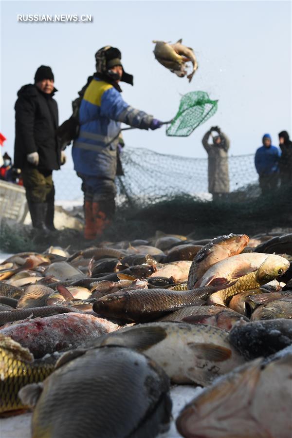 Зимняя рыбалка посреди заснеженной степи