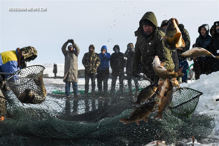 Зимняя рыбалка посреди заснеженной степи
