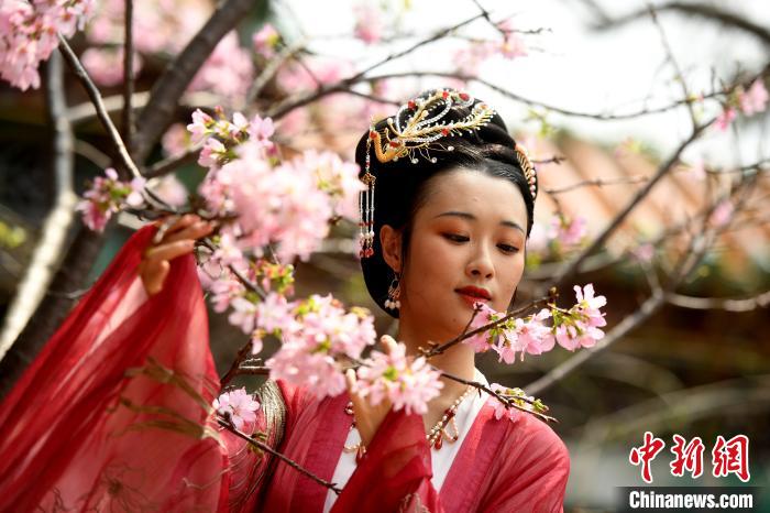 В городе Гуанчжоу открылся фестиваль цветов вишни