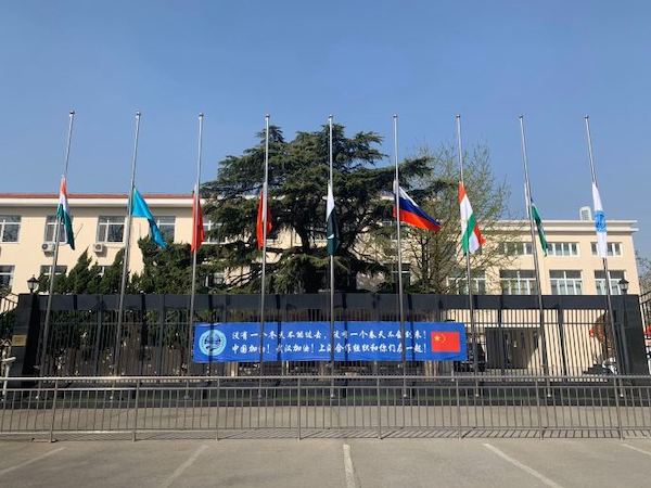 В штаб-квартире ШОС приспущены флаги в знак траура по жертвам пандемии COVID-19 в Китае