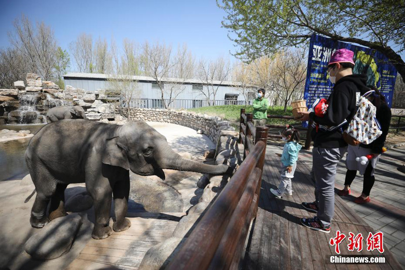 Пекинский парк дикой природы вновь открыт для туристов