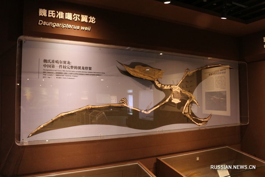 Китайские исследователи сообщили о новом открытии уникального птерозавра