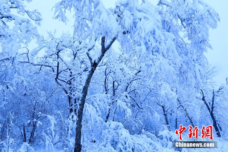 Пейзажи городка Жаохэ после майского снегопада