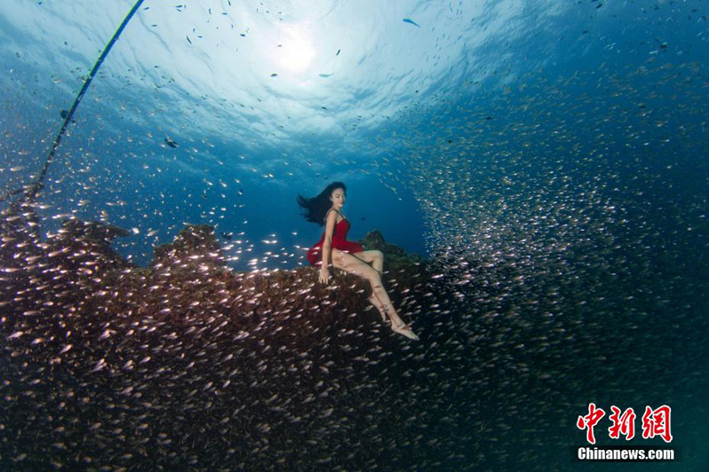 Подводный мир в китайском городе Санья