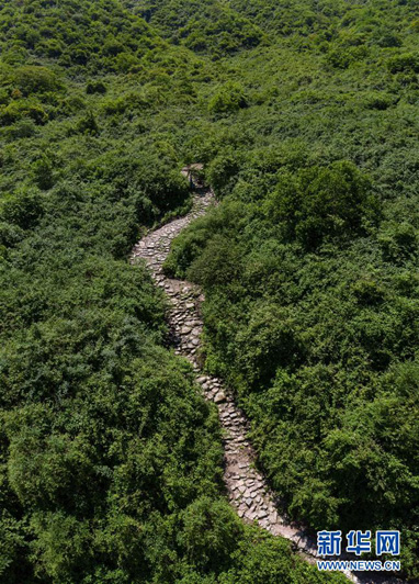 Реставрация древнего чайного пути в китайской провинции Сычуань