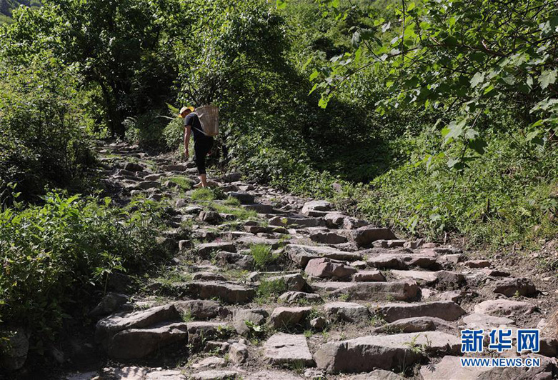 Реставрация древнего чайного пути в китайской провинции Сычуань