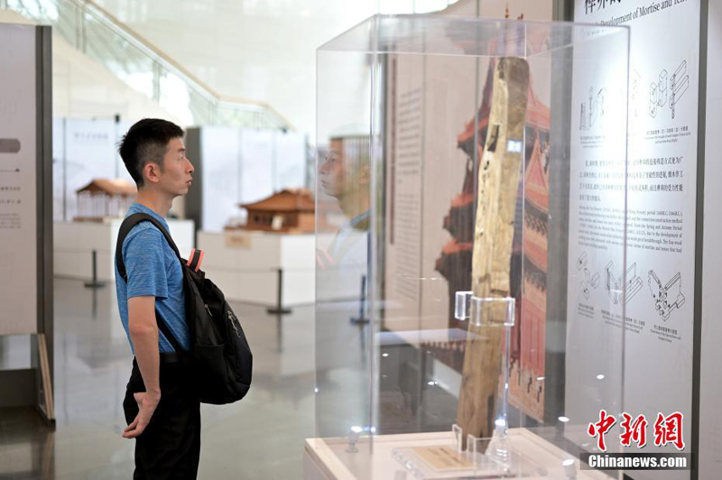 В китайском городе Наньнин открылась выставка шипов и гнезд